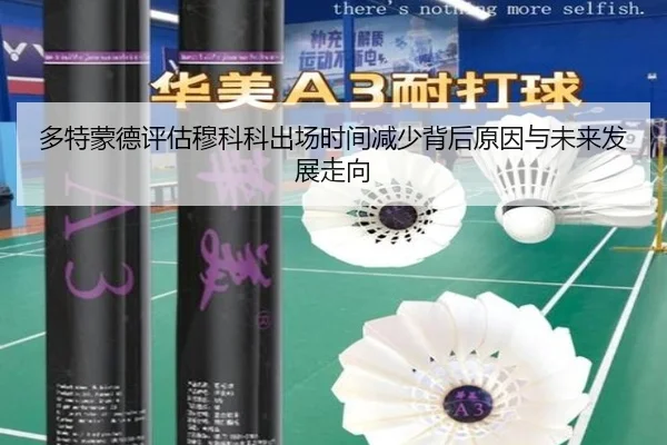 多特蒙德评估穆科科出场时间减少背后原因与未来发展走向